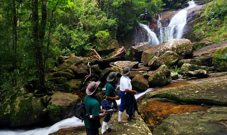 Sinharaja Forest Reserve