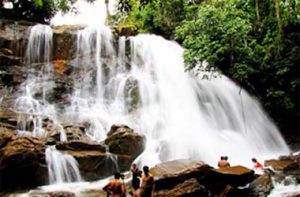 Chadwick Waterfall