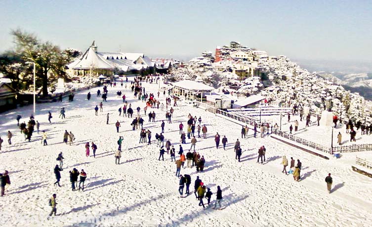 Shimla