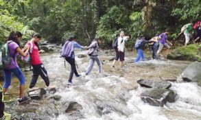 Trekking or Nature Walk