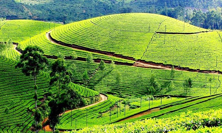 Munnar