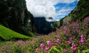 Nanda Devi National Park