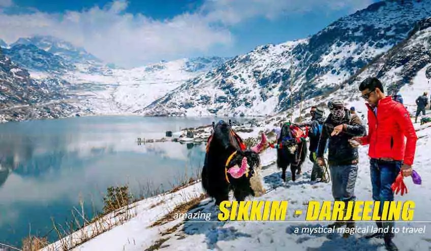 sikkim luxury tour vehicle