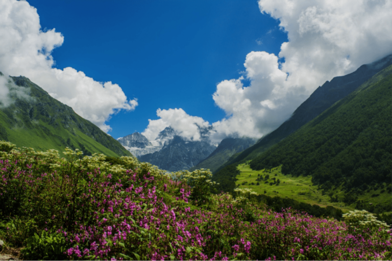 Valley-of-Flowers