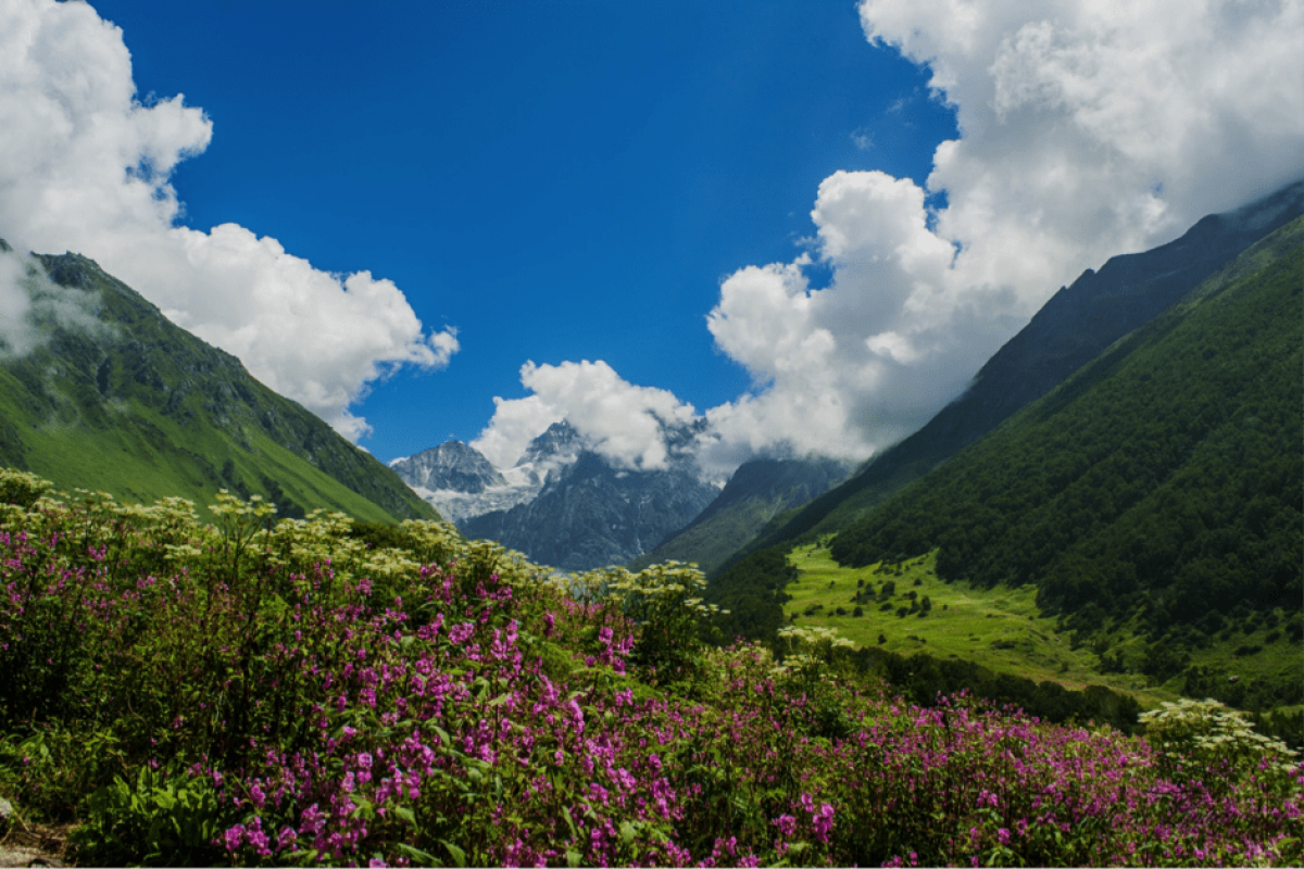 Valley of Flowers is an awe-inspiring national park situated in Uttarakhand
