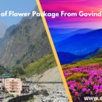 Valley of Flower From Govind Ghat