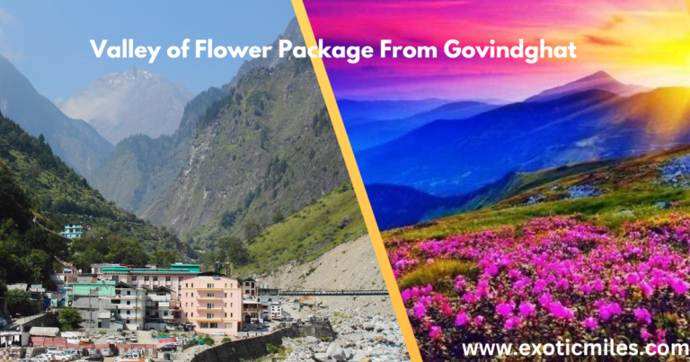 Valley of Flower From Govind Ghat