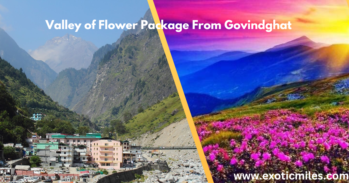 How to Reach Valley of Flowers from Govindghat