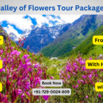 Valley of Flowers Tour Package