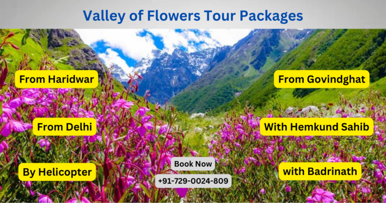 Explore The Enchanting Valley Of Flowers With Our Tailored Tour Packages