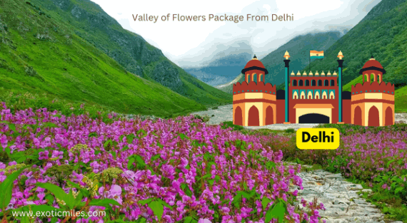 Valley of Flowers Tour Package from Delhi 