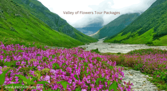 Valley of Flowers Tour Packages